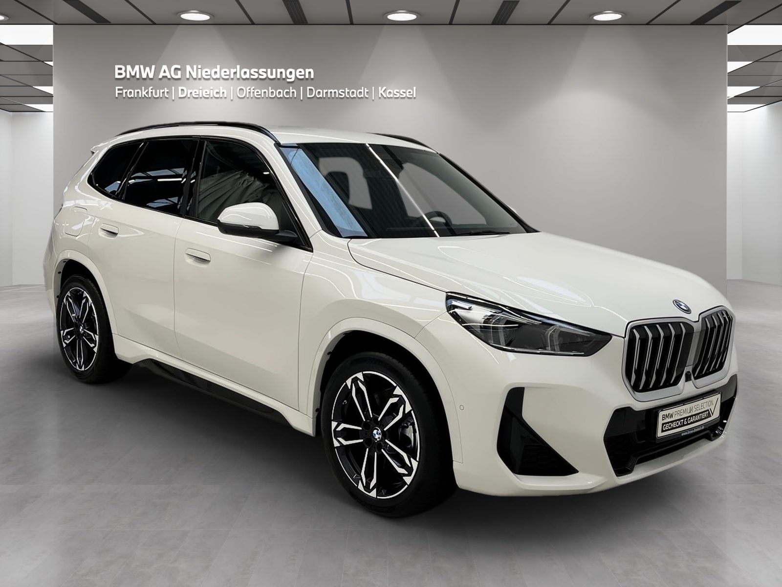 BMW X1 xDrive30e M Sport AHK Driv.Assist.Prof LED foto 3
