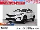 Kia XCeed 1.6T 150 DCT VIS KOM+ Vision - Kia XCeed Neuwagen