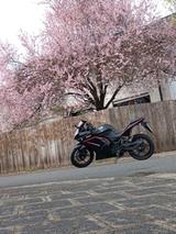Kawasaki Ninja 250R - Offers