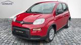 Fiat Panda 1,0 Hybrid (MHEV) Pandina Base DAB MFL PDC - Fiat Panda Gebrauchtwagen in Wuppertal