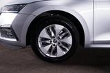 Skoda Octavia Combi 2.0 TDI 4x4 DSG Ambition ACC - Skoda Octavia in Wuppertal