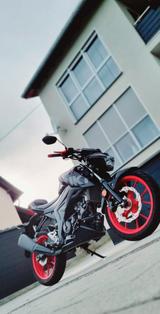 Suzuki GSX-S 125 XAL9 - Offers matching your search criteria