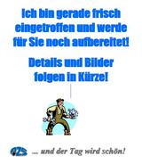 Ford Transit Custom Nugget L1 Aufstelldach Panozelt - Ford Transit: Nugget