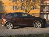 Lexus NX 300 300h E-FOUR - - Lexus NX-Serie von privat