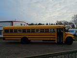 Andere AMTS IC3S530, Schoolbus, Party-Event Bus...#1203 - Angebote