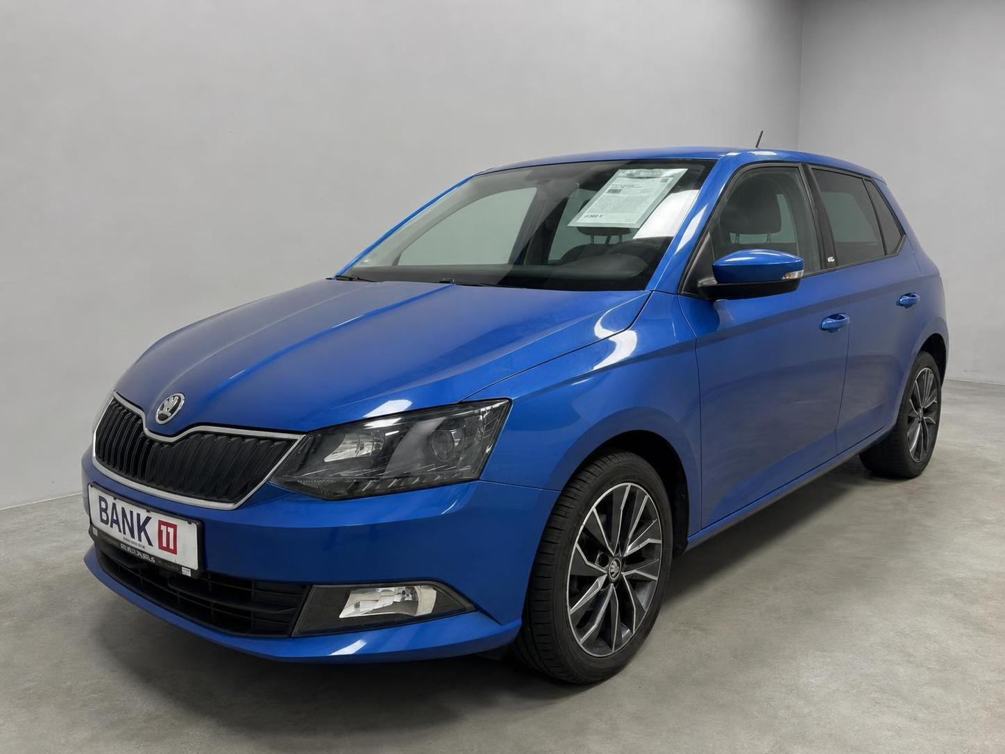 Skoda Fabia 1.2 TSI Edition *AHK*KLIMA*PDC*GRA*DAB*