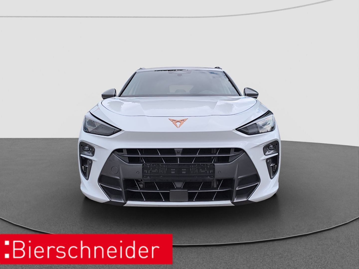 Cupra Terramar - Bild 2