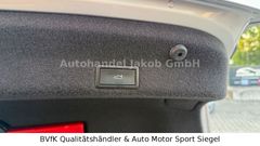 VW Passat/Sonderausstattung/Tüv&Service Neu/TOP!