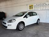 Fiat Punto 1.2 8V 5 porte 69Cv Gancio Traino - Fiat Punto: 1.6