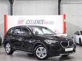 BMW X1 xDrive 25e Advantage BUSINESS / VOLL-LEDER - mit Hybrid-Antrieb: Voll