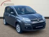 Fiat Panda Lounge 1.2 Bluetooth - Freisprecheinrichtu - Fiat Panda: 1.1