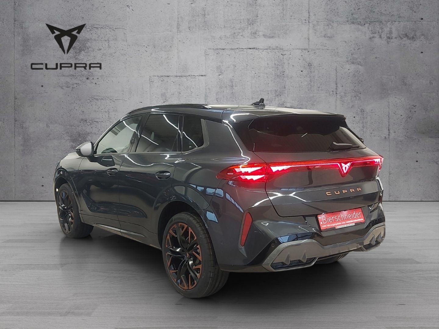 Cupra Terramar - Bild 8