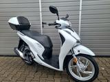Honda SH 150 i*1.Hand*24.000 Insp.*unfallfrei* - HONDA SH 150I