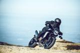 Husqvarna Svartpilen 801 / auf Lager - NAKED BIKE