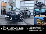 Lexus UX 250h  Luxury Line * 360 Kamera * Mark Levinso - Lexus UX: Luxury Line