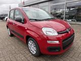 Fiat Panda 1.0 Hybrid SITZHEIZUNG,ALLWETTER,TFT-TACHO - Fiat Panda Tageszulassungen mit Benzin-Antrieb