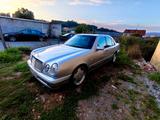 Mercedes-Benz E 50 AMG AMG Avantgarde - Mercedes-Benz E 50 mit Benzin-Antrieb