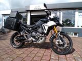 Triumph Tiger 900 Rallye Pro Koffer Topcase ZS HG - Triumph Tiger 900 Rally Pro