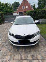 Skoda Octavia 1.6 TDI SCR Ambition Combi Ambition - Skoda Octavia: Allradantrieb, 1.6