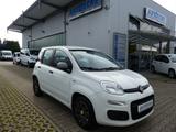 Fiat Panda Easy 0.9 KLIMA/1.Hand/Servo/Euro6 - Fiat Panda EASY mit Benzin-Antrieb