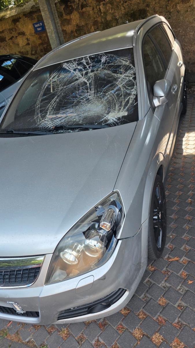 Opel Vectra 2006 — photo 5