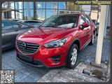Mazda CX-5 Sports-Line AWD Automatik Schiebedach Leder - Mazda CX-5 in Mainz