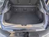 Hyundai i30 2.0 T-GDI N Performance Fastback N Perfo... - Hyundai i30: Leder