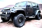 Jeep Wrangler JK + Einzelstück + Erdgas + ... - Jeep Wrangler aus 2007