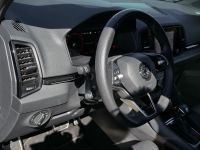 Skoda Karoq - Vorschau Bild 18