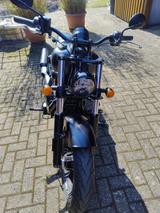 Indian Chief Dark Horse - Offers matching your search criteria