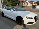 Audi A5 Cabriolet 1.8 TFSI S Line Navi - Audi A5: Weiß