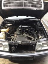Mercedes-Benz Mercedes W124 200E aus 1991 nur 115.000km ... - Mercedes-Benz 200: W124 200e