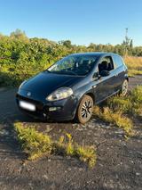 Fiat Punto 199 1.2 2 Türer Klima Allwetter... - Fiat Punto 199 mit Benzin-Antrieb