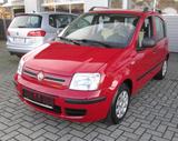 Fiat Panda 1.2 8V Dynamic - Fiat Panda: Rot