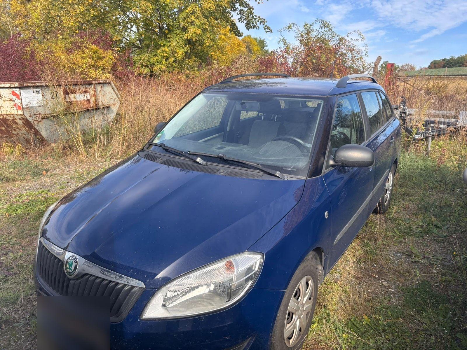 Skoda Fabia 2010 — rear view
