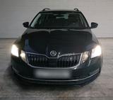 Skoda Oktavia 2,0 TDI  Neu TÜV - Skoda mit Diesel-Antrieb: Oktavia