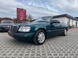 Mercedes-Benz E 200 Cabrio,Final Edition,Tüv neu,Leder,Klima.. - Mercedes-Benz E 200: Grün