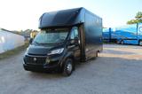 Fiat Ducato exclusiver Foodtruck der Spitzenklasse - Offers
