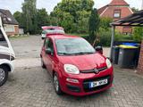 Fiat New Panda 1.2 8V - Super Stadtauto 