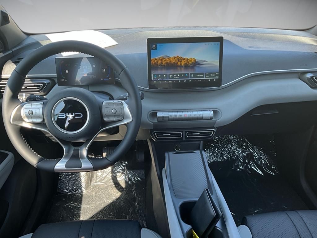 BYD DOLPHIN SURF