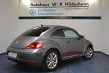 Volkswagen Beetle CLUB 1.2 TSI BMT, DSG, Bi-Xenon, Navi, Pa - Volkswagen Beetle aus 2016