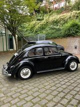 Volkswagen Käfer - Ovali