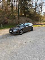 Audi A3 2.0 TDI 140 PS  sehr gepflegt - Audi A3 mit Diesel-Antrieb: 140 Ps