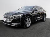 Audi e-tron 50 quattro advanced 50 quattro advanced - Audi Gebrauchtwagen in Norderstedt