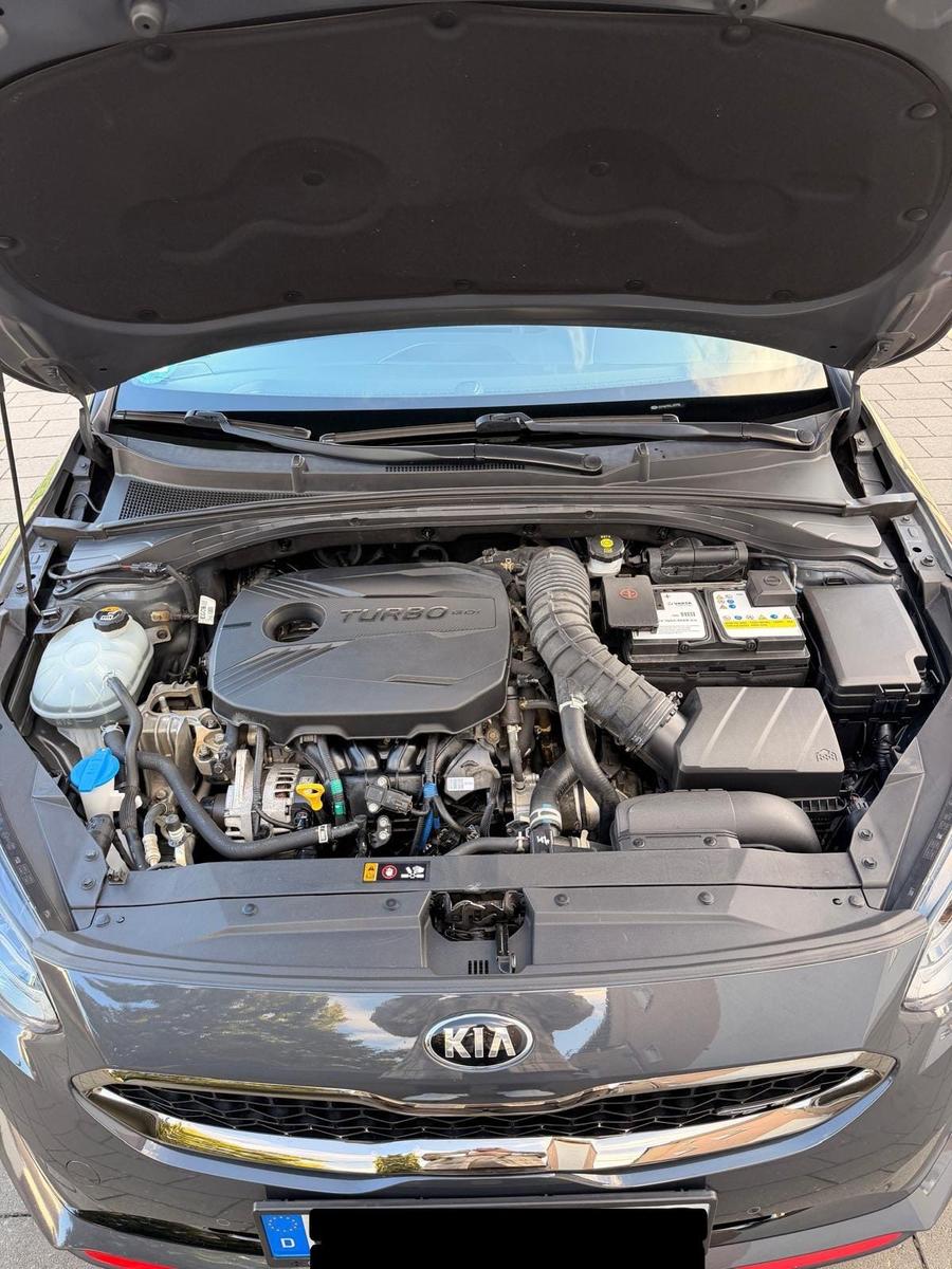 Kia ProCeed GT 204PS DCT / 1. Hand / Panorama / JBL 