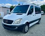 Mercedes-Benz Sprinter II Kombi 311 / 315 CDI - Mercedes-Benz 315 cdi