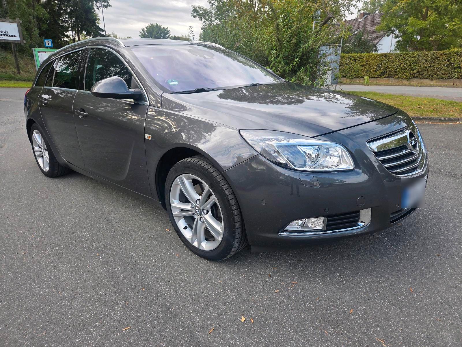 Opel Insignia 2010 — photo 12