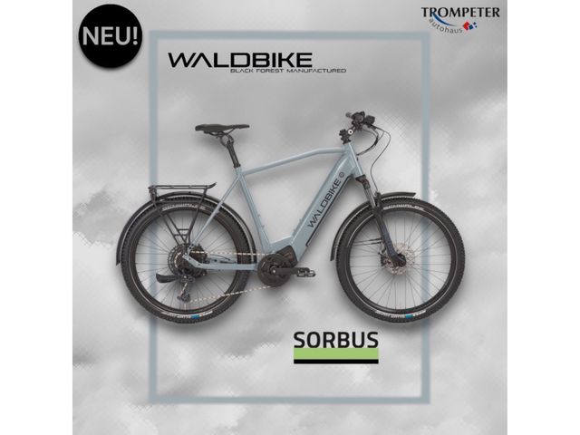 WALDBIKE Sorbus XL wolf grey E-CITY / E-TREKKING