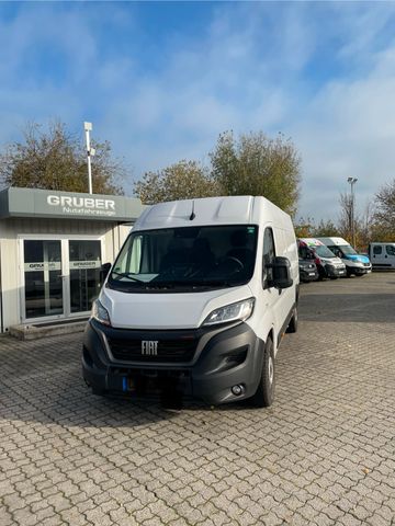 Fiat Ducato Maxi Grossr.-Kasten 35 180 L5H2 RS: 4035