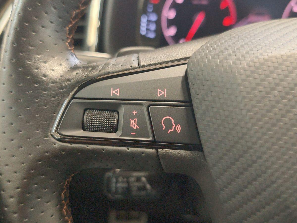 Cupra CUPRA ATECA 2.0 TSI AWD AHK+NAVI+360-KAMERA+SITZ
